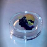 Anti Griddle Quail Egg Blueberry Compote