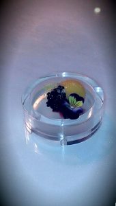 Anti Griddle Quail Egg Blueberry Compote