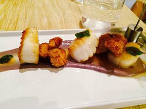 Scallops and Sweetbreads